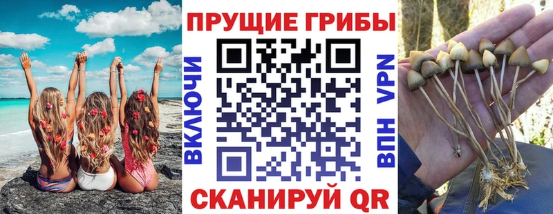 Псилоцибиновые грибы GOLDEN TEACHER  мега tor  Семилуки 